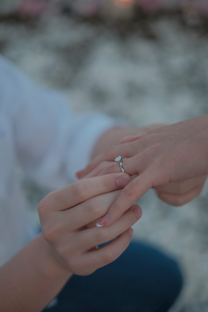FIX Long-tailed macaques watching proposal